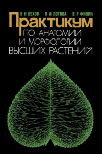 Книга Практикум по анатомии и морфологии высших растений. Вегетативные органы.