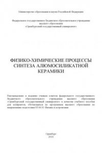 Книга Физико-химические процессы синтеза алюмосиликатной керамики