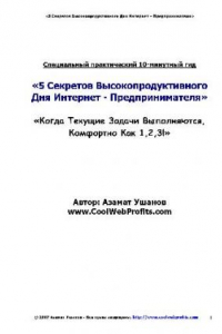 Книга 5 секретов высокопродуктивного дня интернет-предпринимателя