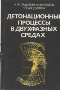 Книга Детонационные процессы в двухфазных средах