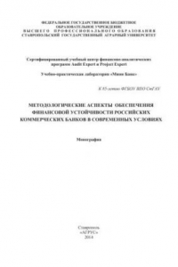 Книга Методологические аспекты обеспечения финансовой устойчивости российских коммерческих банков в современных условиях: монография