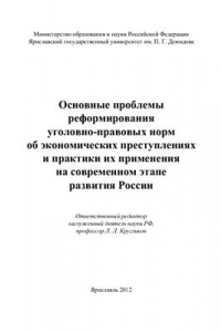 Книга Основные проблемы реформирования уголовно-правовых норм об экономических преступлениях и практики их применения на современном этапе развития России