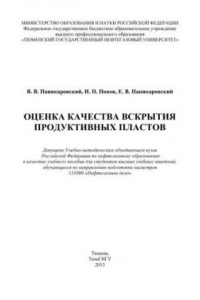 Книга Оценка качества вскрытия продуктивных пластов