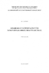 Книга Введение в теорию конусов в нормированных пространствах