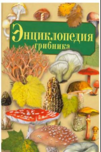 Книга Энциклопедия грибника