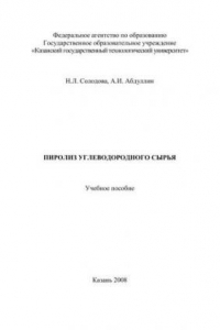 Книга Пиролиз углеводородного сырья