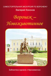 Книга Воронеж – Новоживотинное