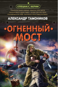 Книга Огненный мост