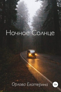 Книга Ночное Солнце