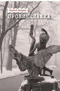 Книга Провинциалка