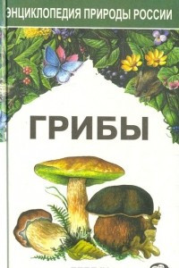 Книга Грибы