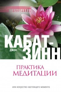 Книга Практика медитации: В любое время, в любом месте