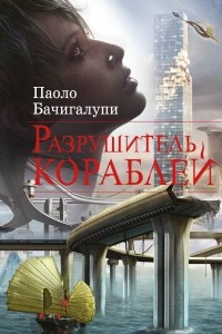 Книга Разрушитель кораблей