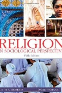 Книга Religion in Sociological Perspective