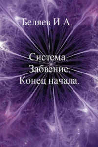 Книга Система. Завоевание. Конец начала. Книга первая. Цикл «Икосаэдр. Бронзовый аддон»