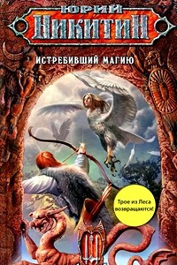 Книга Истребивший магию