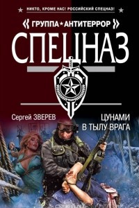 Книга Цунами в тылу врага