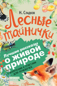 Книга Лесные тайнички. С вопросами и ответами для почемучек