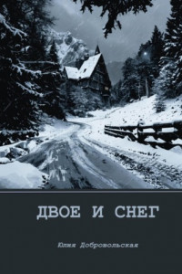 Книга Двое и снег