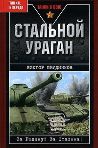 Книга Стальной ураган