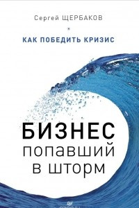 Книга Бизнес, попавший в шторм. Как победить кризис