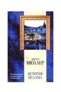 Книга История ислама. От доисламской истории арабов до падения династии Аббасидов