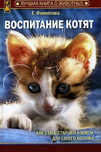 Книга Воспитание котят