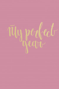 Книга Ежедневник. My perfect year (в точку)