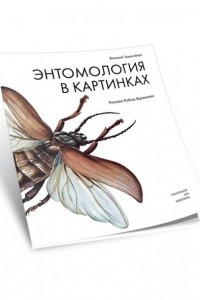 Книга Энтомология в картинках