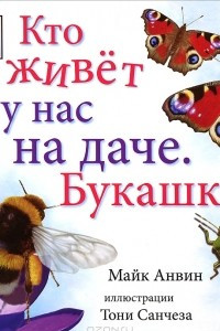 Книга Кто живет у нас на даче. Букашки