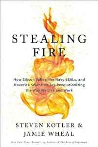 Книга Stealing Fire: How Silicon Valley, the Navy SEALs, and Maverick Scientists Are Revolutionizing the Way We Live and Work