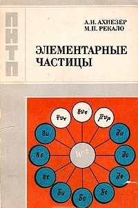 Книга Элементарные частицы