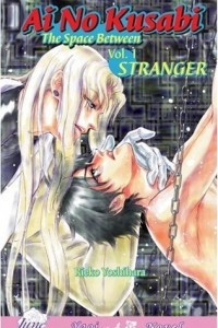 Книга Ai No Kusabi The Space Between Volume 1: Stranger