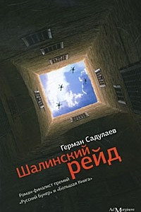 Книга Шалинский рейд