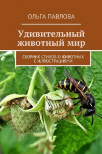 Книга Удивительный животный мир. Сборник стихов о животных с иллюстрациями