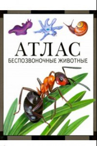 Книга Атлас. Беспозвоночные животные