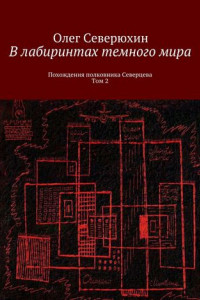 Книга В лабиринтах темного мира. Похождения полковника Северцева. Том 2