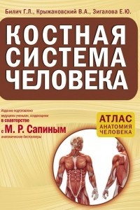 Книга Костная система человека. Атлас