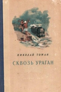 Книга Сквозь ураган