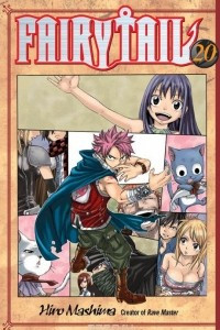 Книга Fairy tail 20