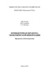 Книга Компьютерная обработка экономической информации