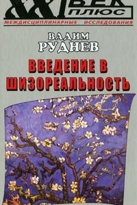 Книга Введение в шизореальность