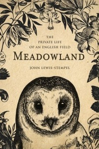 Книга Meadowland