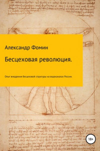 Книга Бесцеховая революция. Опыт внедрения бесцеховой структуры управления на водоканалах России.