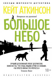 Книга Большое небо