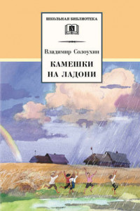 Книга Камешки на ладони