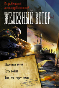 Книга Железный ветер