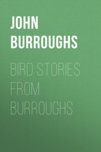 Книга Bird Stories from Burroughs