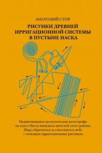 Книга Рисунки древней ирригационной системы в пустыне Наска