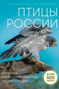 Книга Птицы России. Большая иллюстрированная энциклопедия